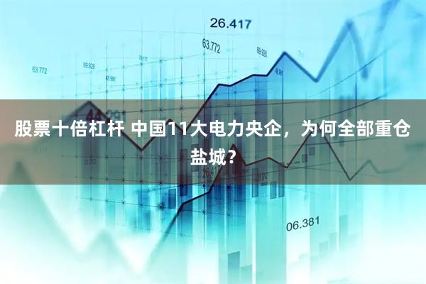 股票十倍杠杆 中国11大电力央企，为何全部重仓盐城？